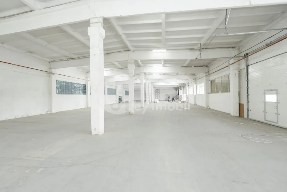 Склад, Ботаника, МУНЧЕШТЬ