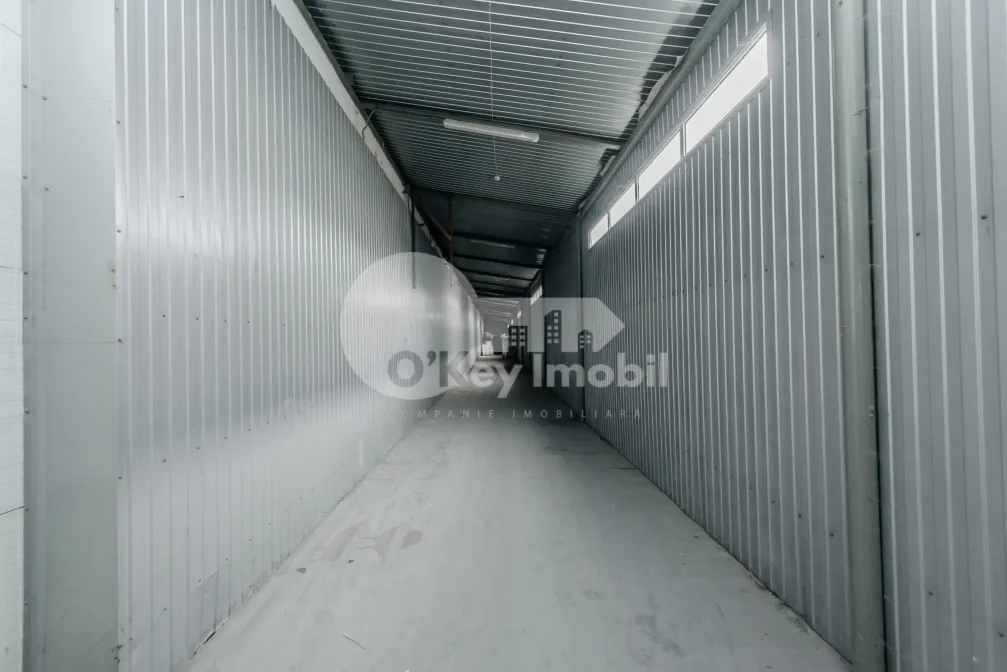 Склад, Ботаника, МУНЧЕШТЬ