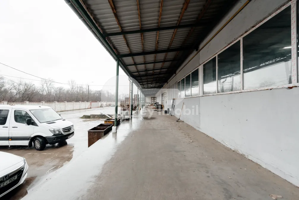 Склад, Ботаника, МУНЧЕШТЬ