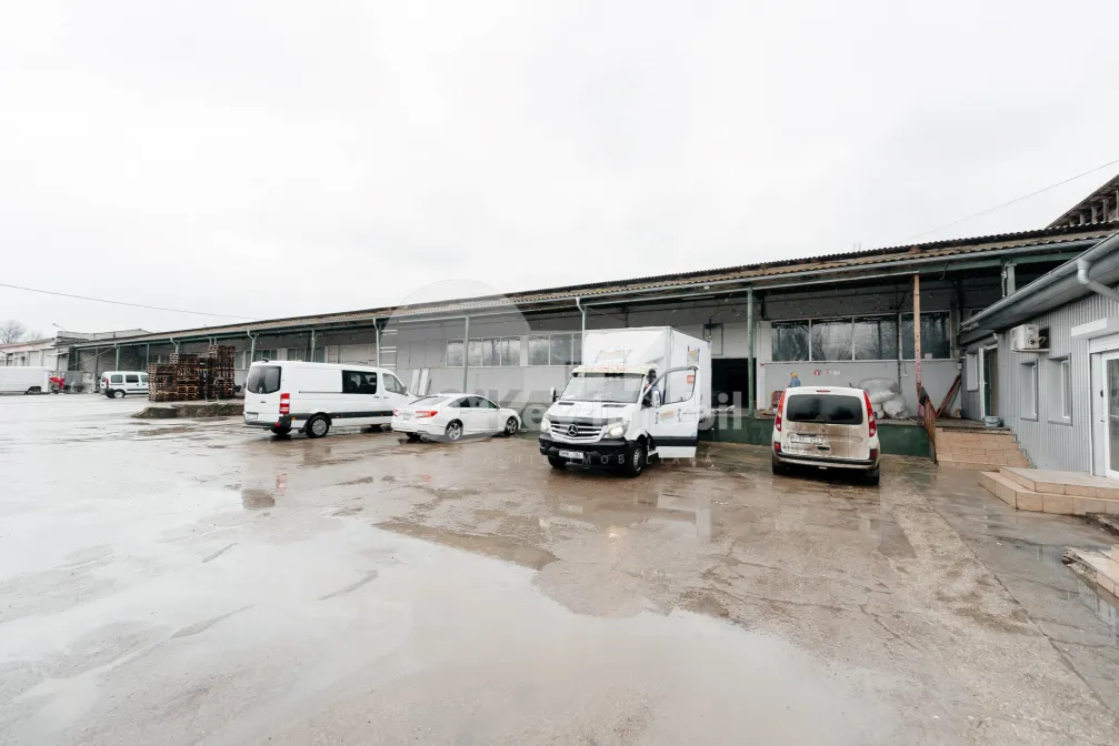 Склад, Ботаника, МУНЧЕШТЬ