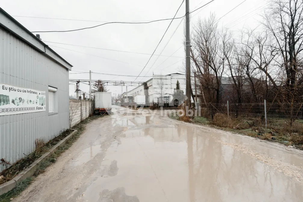 Склад, Ботаника, МУНЧЕШТЬ