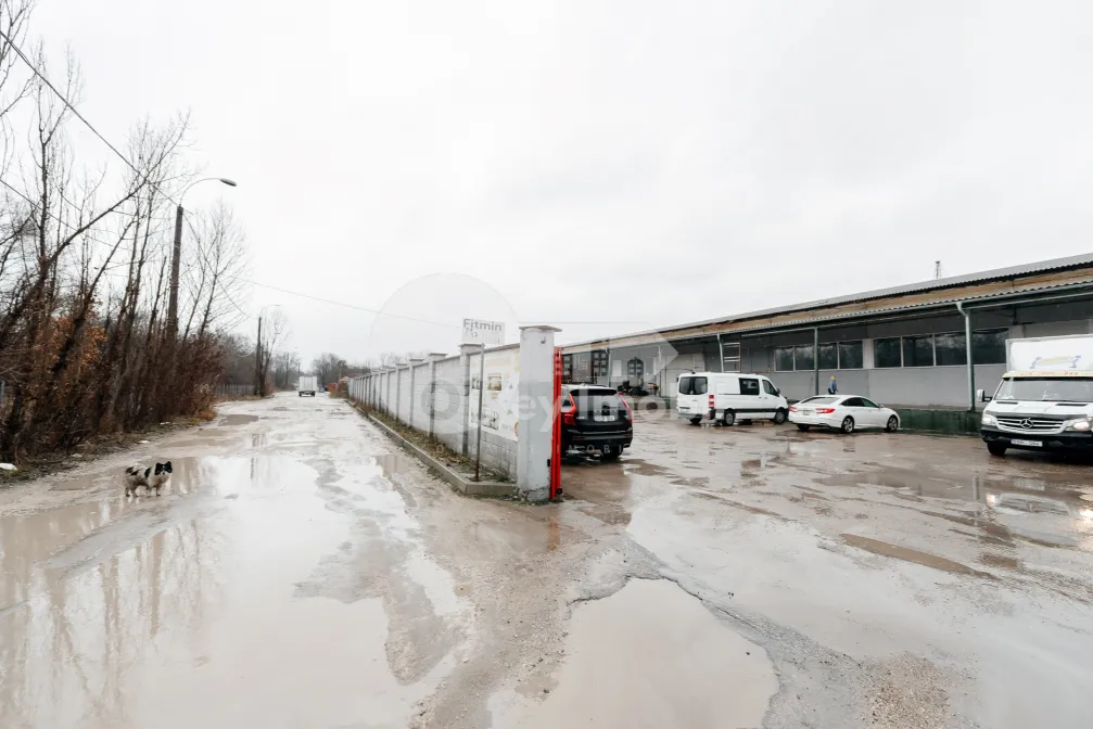 Склад, Ботаника, МУНЧЕШТЬ