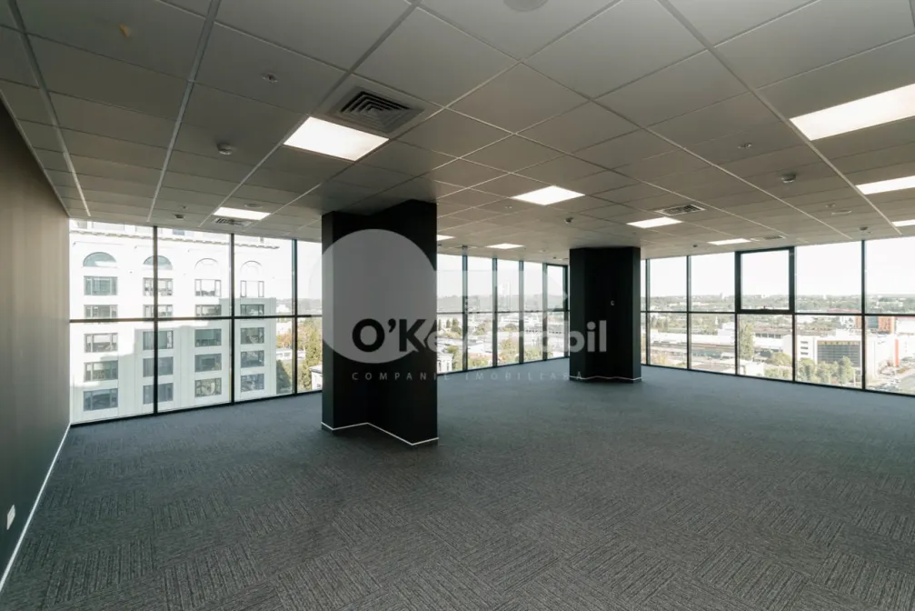 Oficiu, Centru, MIHAI VITEAZUL