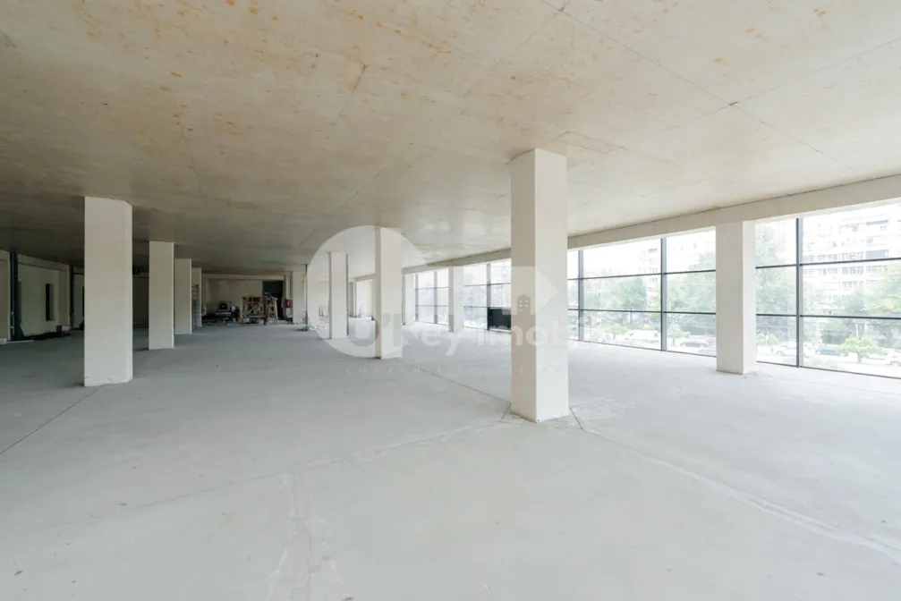 Spațiu comercial, Botanica, DACIA