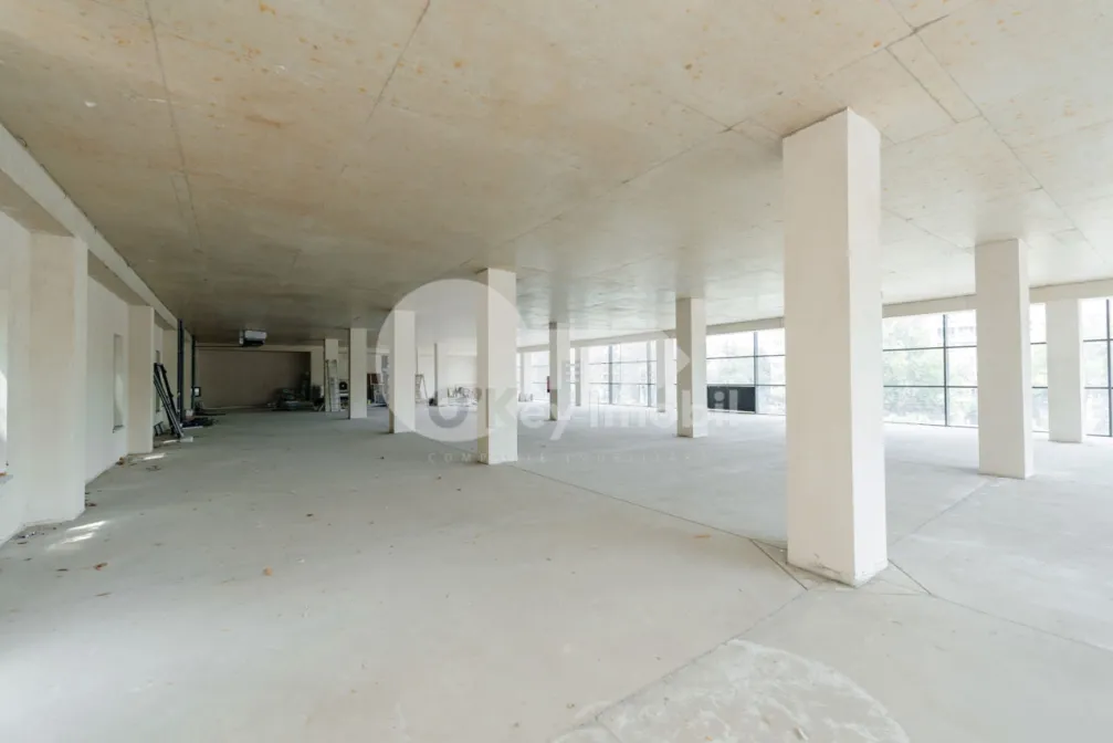 Spațiu comercial, Botanica, DACIA