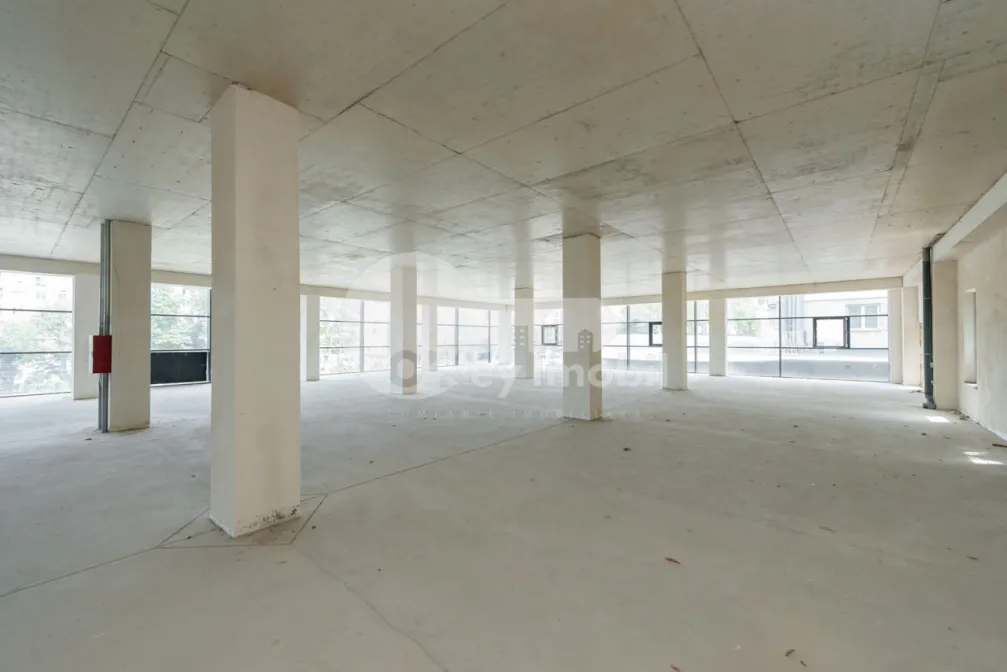 Spațiu comercial, Botanica, DACIA