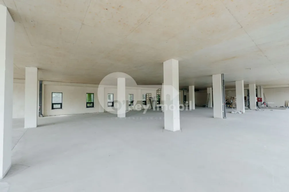 Spațiu comercial, Botanica, DACIA