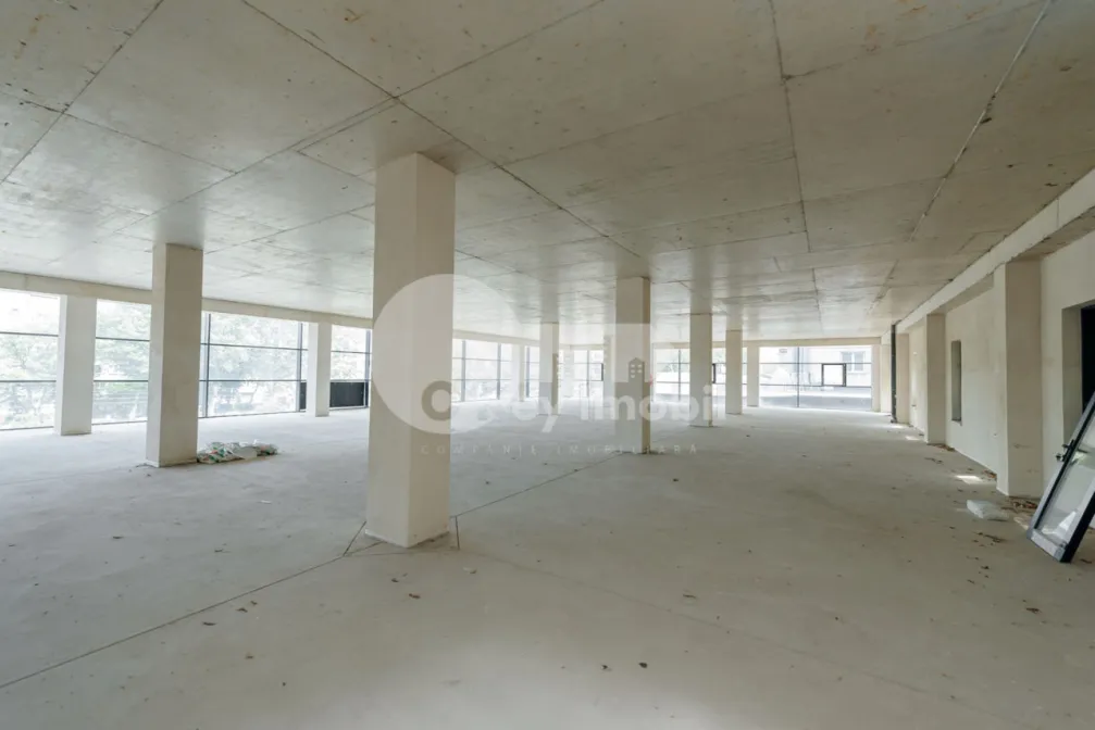 Spațiu comercial, Botanica, DACIA