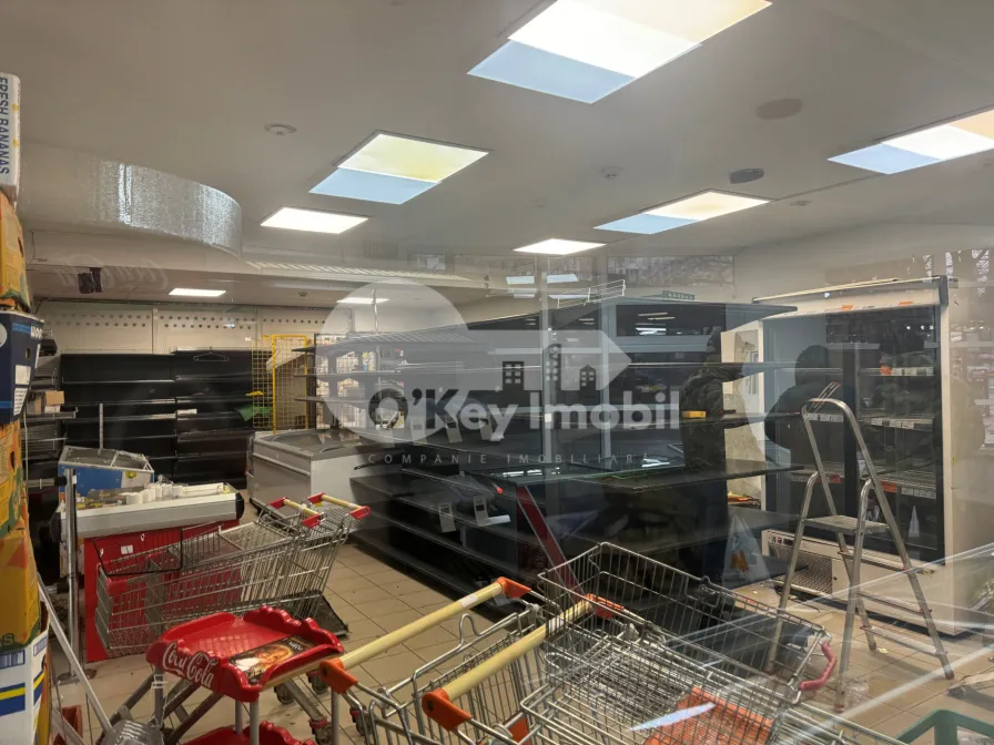 Spațiu comercial, Botanica, DACIA