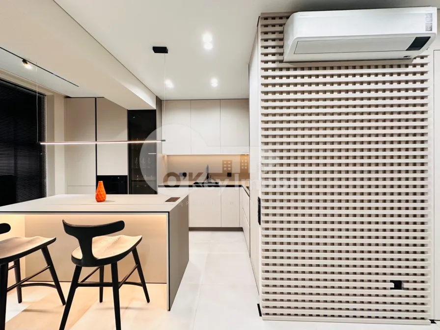 Пентхаус, Чеканы, МИЛЕСКУ СПЭТАРУ