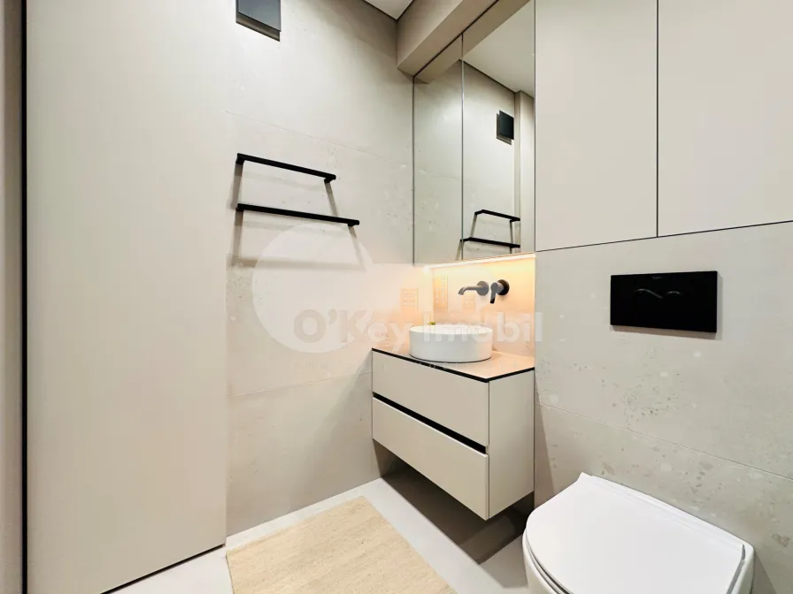 Пентхаус, Чеканы, МИЛЕСКУ СПЭТАРУ