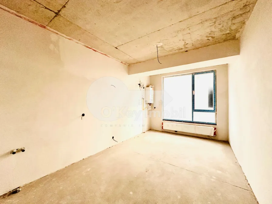 Пентхаус, Чеканы, МИЛЕСКУ СПЭТАРУ