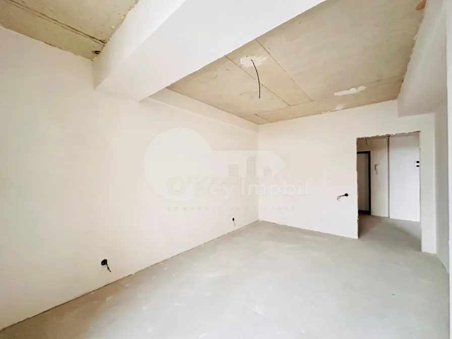 Пентхаус, Чеканы, МИЛЕСКУ СПЭТАРУ