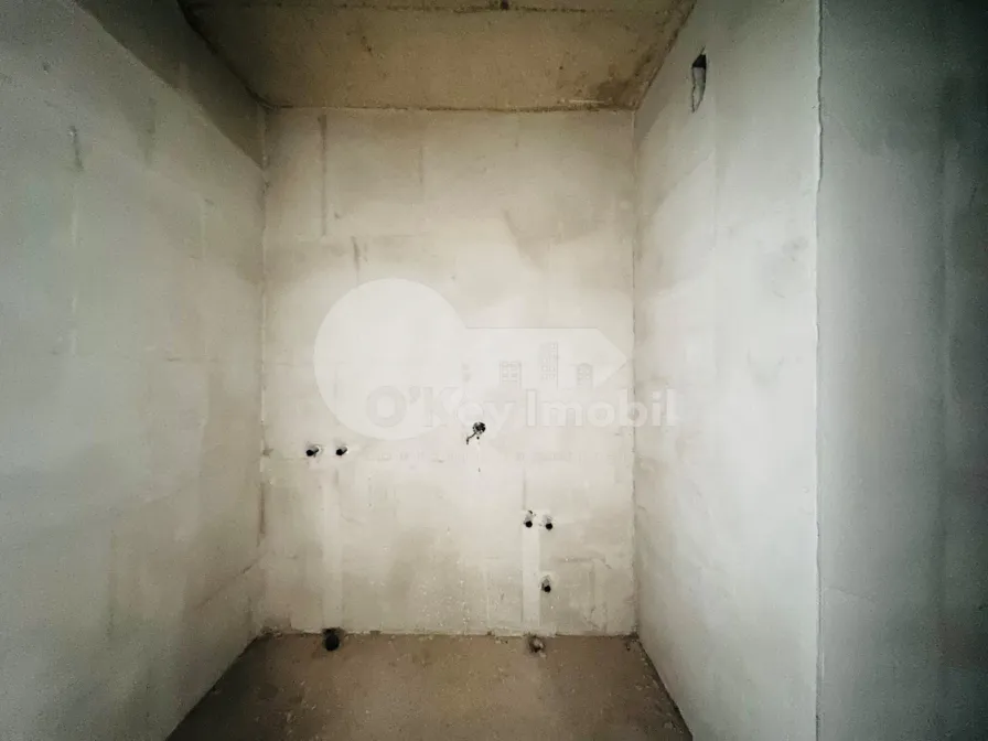 Пентхаус, Чеканы, МИЛЕСКУ СПЭТАРУ