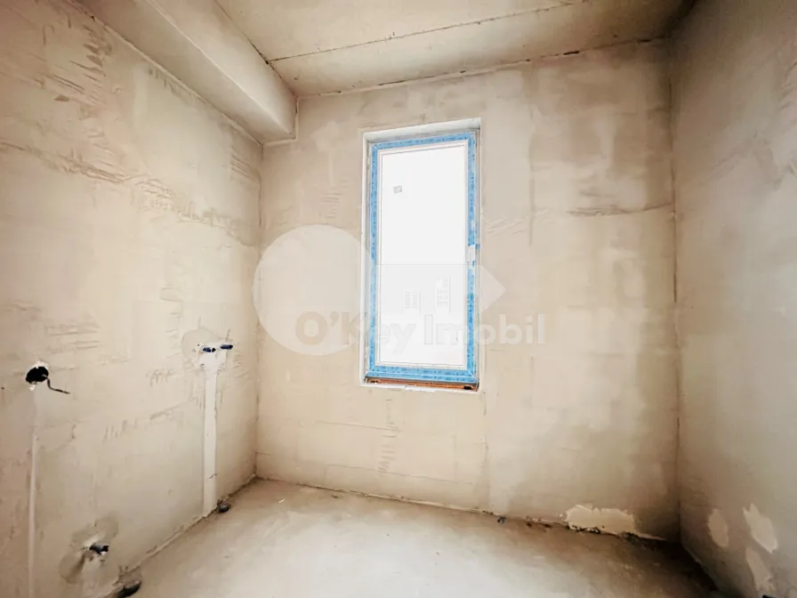 Пентхаус, Чеканы, МИЛЕСКУ СПЭТАРУ