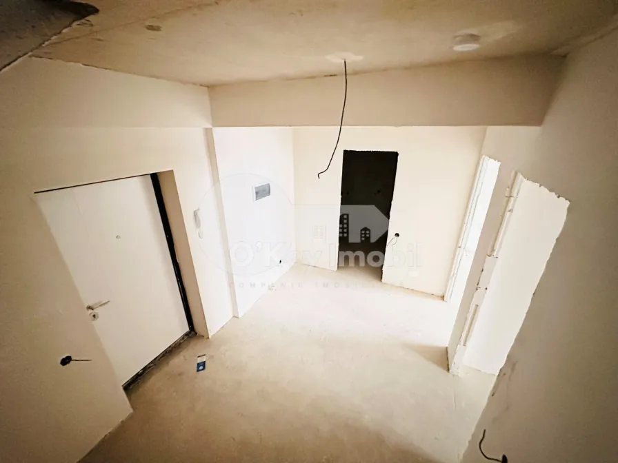 Пентхаус, Чеканы, МИЛЕСКУ СПЭТАРУ