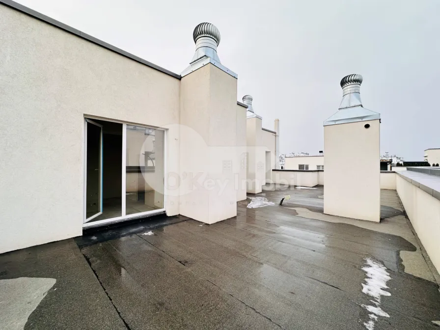 Пентхаус, Чеканы, МИЛЕСКУ СПЭТАРУ