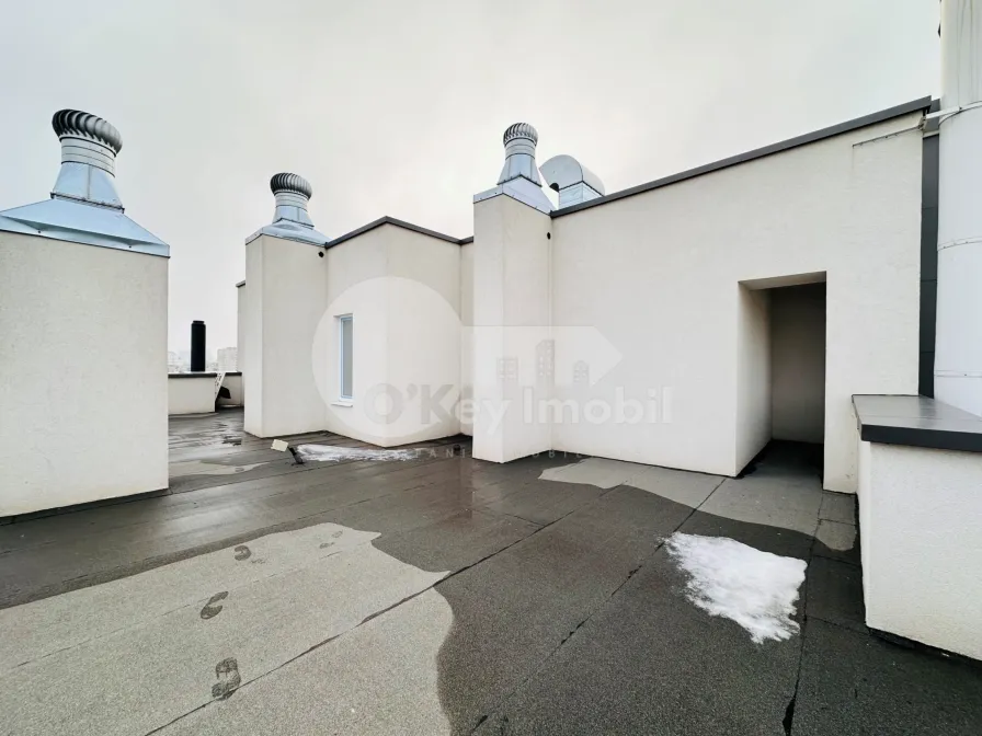 Пентхаус, Чеканы, МИЛЕСКУ СПЭТАРУ