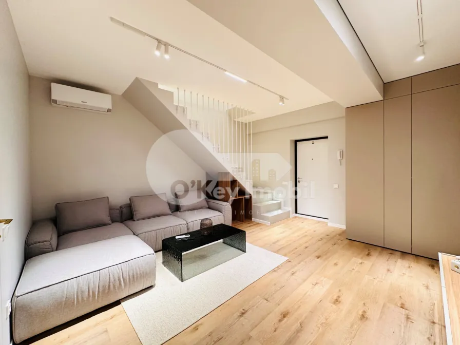 Пентхаус, Чеканы, МИЛЕСКУ СПЭТАРУ