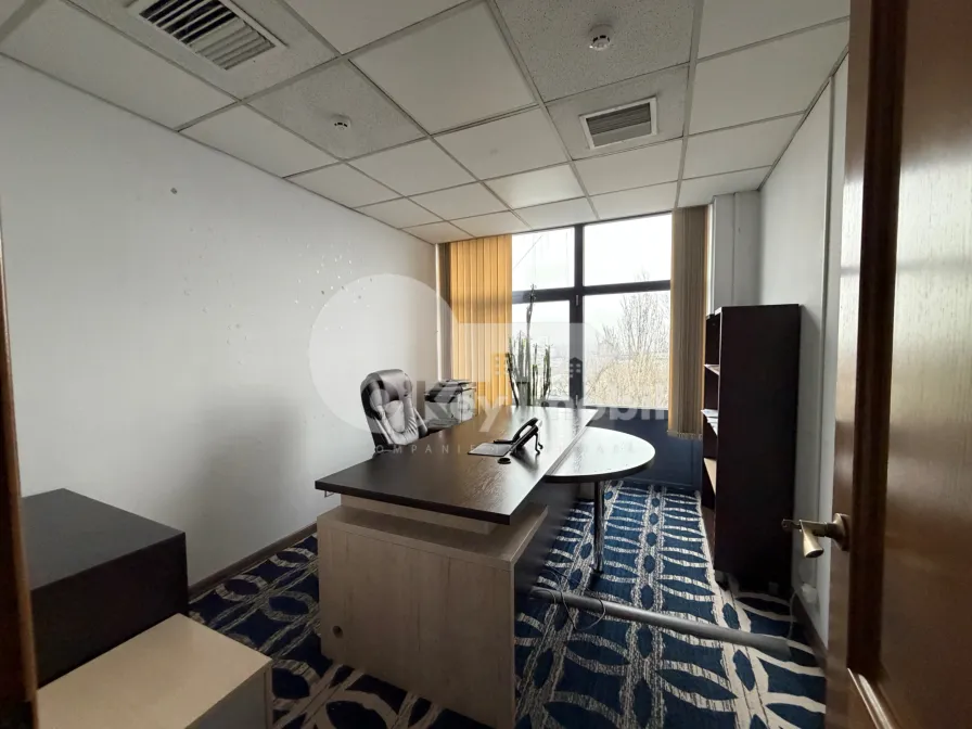 Oficiu, Centru, ȘTEFAN CEL MARE