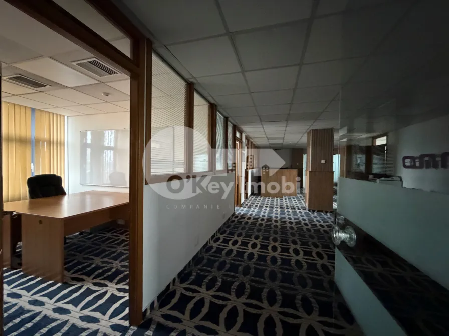 Oficiu, Centru, ȘTEFAN CEL MARE