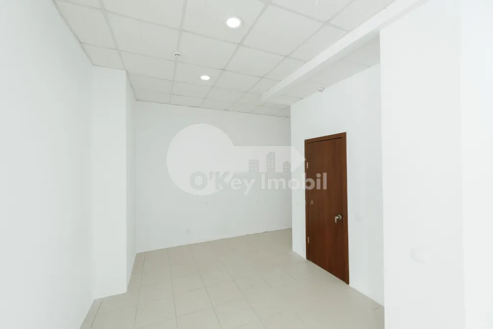 Офис, Рышкановка, МАТЕЙ БАСАРАБ