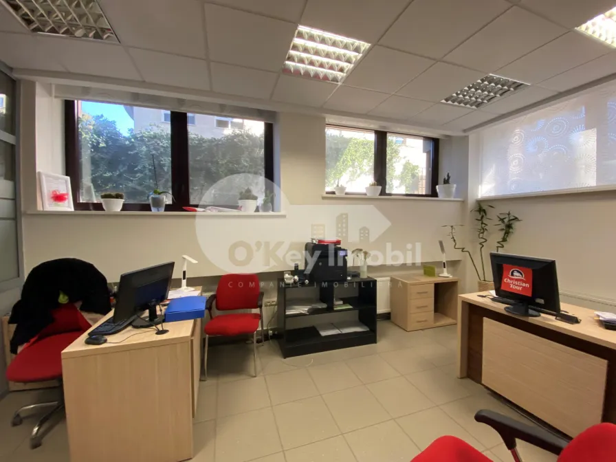 Oficiu, Centru,  ALEXANDR PUȘKIN