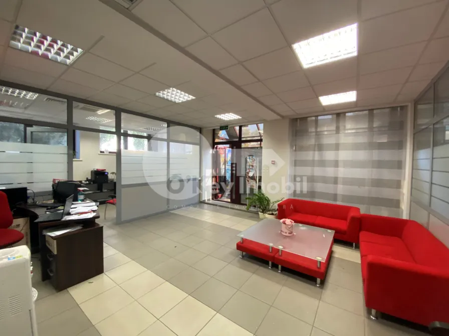 Oficiu, Centru,  ALEXANDR PUȘKIN