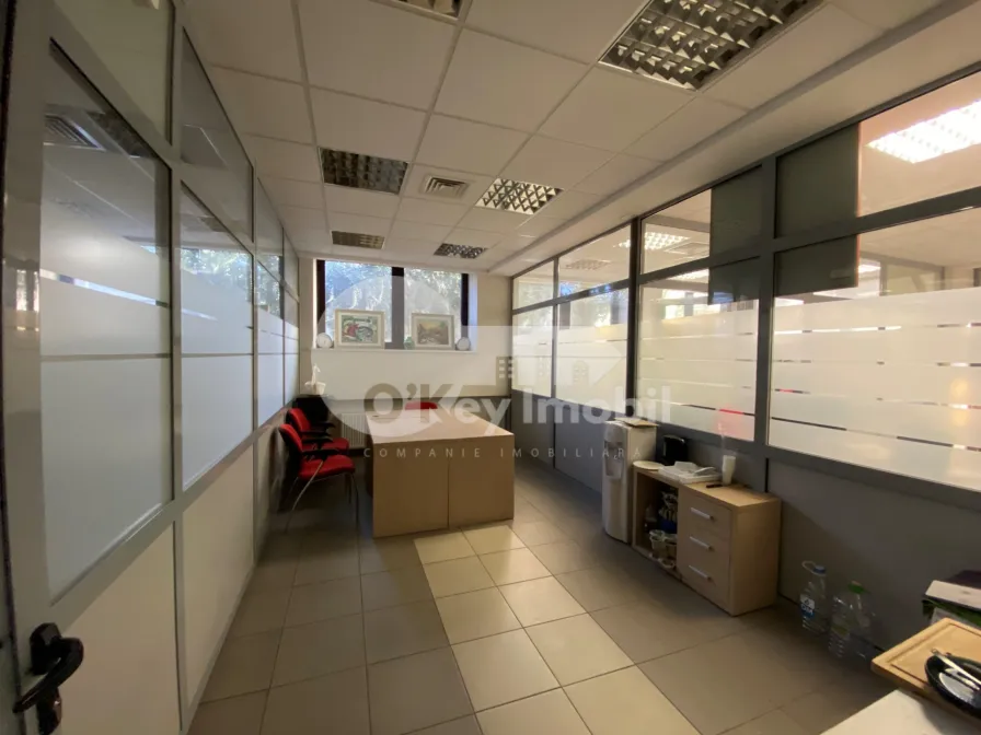 Oficiu, Centru,  ALEXANDR PUȘKIN