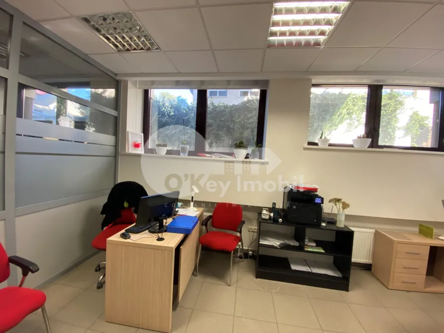 Oficiu, Centru,  ALEXANDR PUȘKIN