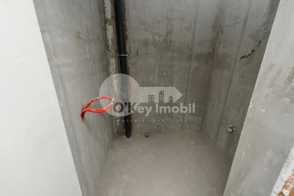 Дом, Ботаника, ДАЧИЯ