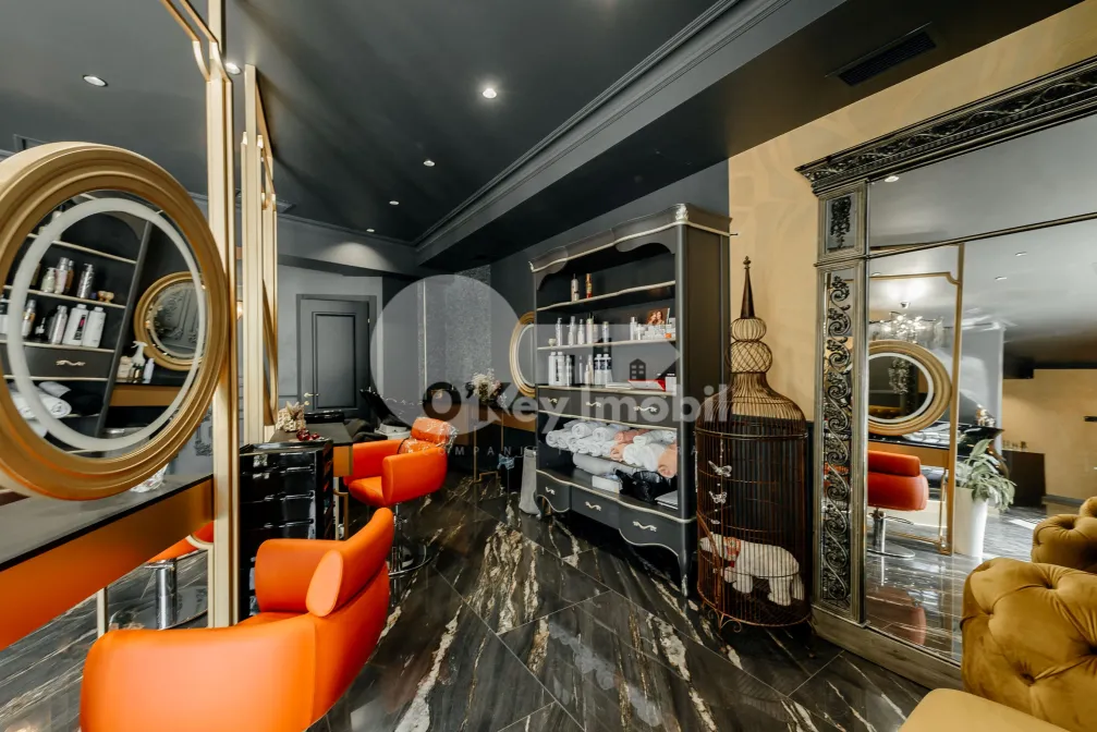 Spațiu comercial, Râșcani, NICOLAE DIMO