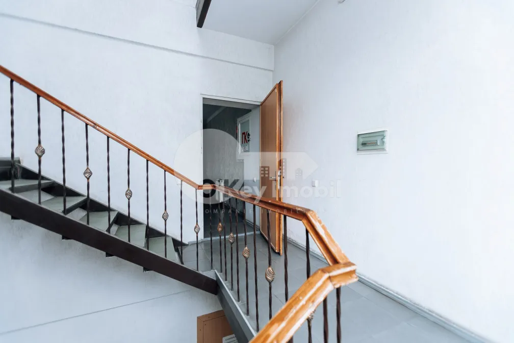 Oficiu, Botanica, BUREBISTA