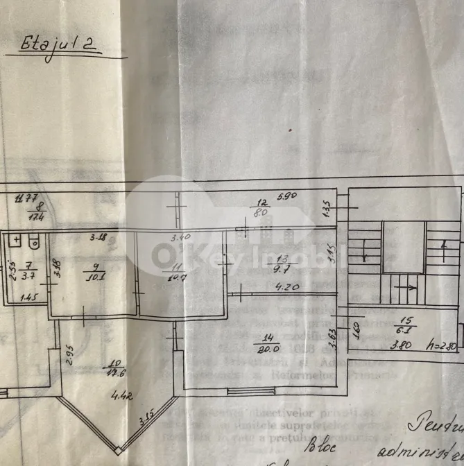 Oficiu, Botanica, BUREBISTA