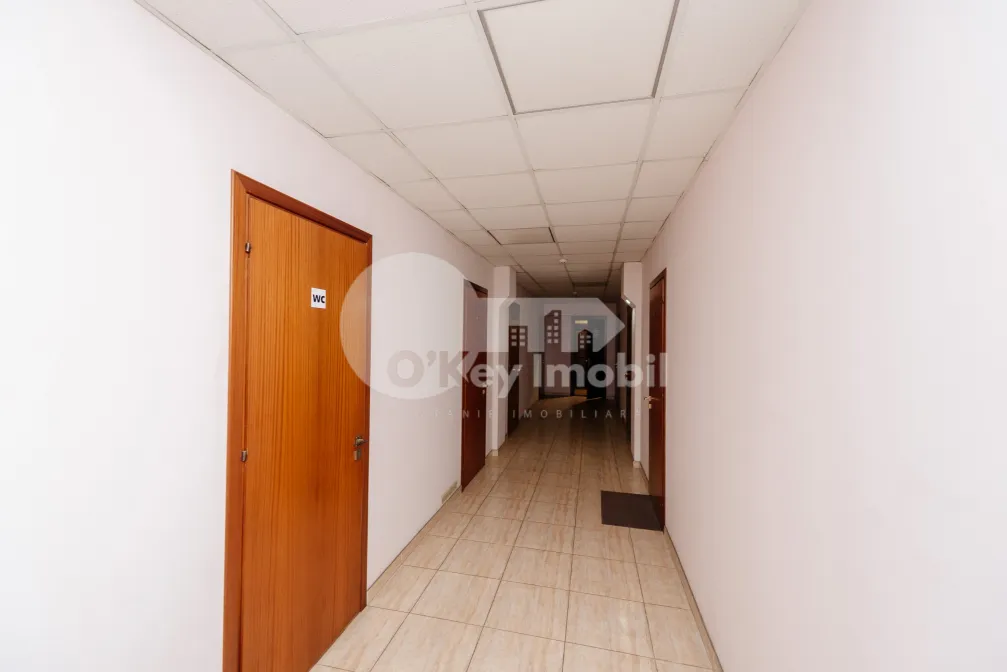 Oficiu, Centru, ȘTEFAN CEL MARE