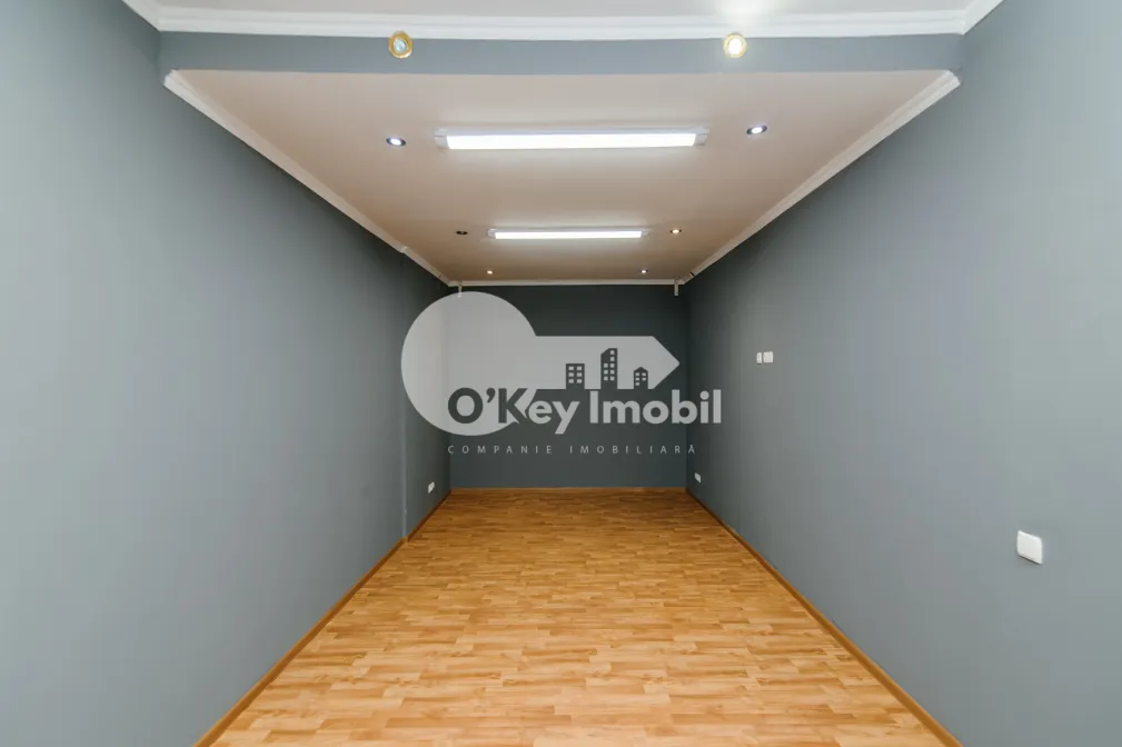 Oficiu, Centru, ALEXANDR PUȘKIN