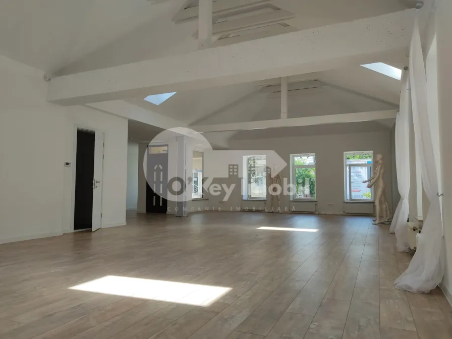 Spațiu comercial, Centru, ALEXANDR PUȘKIN