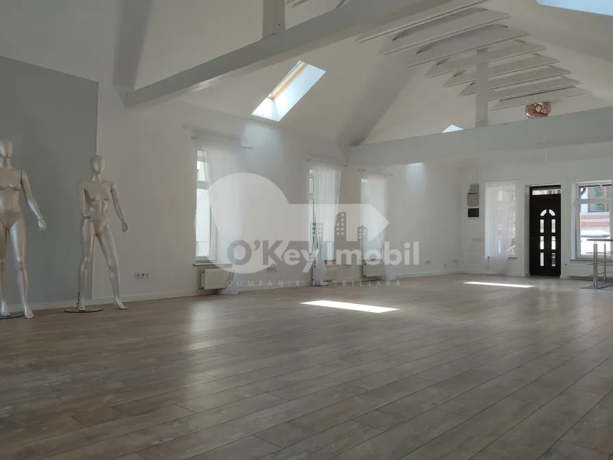 Spațiu comercial, Centru, ALEXANDR PUȘKIN