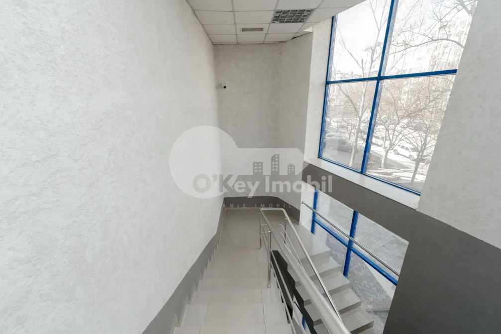 Oficiu, Botanica, CUZA VODĂ