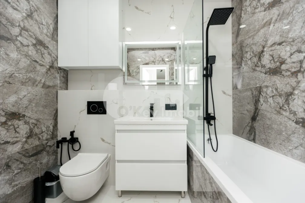 Квартира, Центр, Н. ТЕСТЕМИЦАНУ