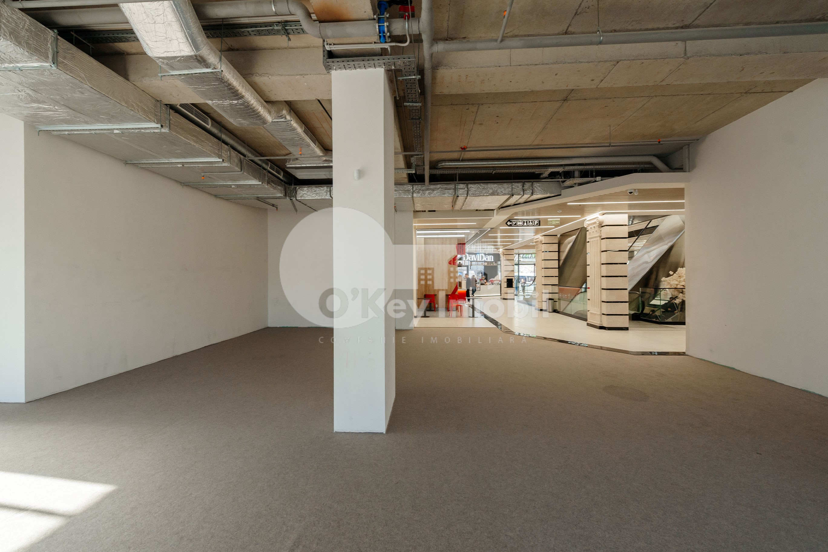 Spațiu comercial, Râșcani, GRIGORE VIERU