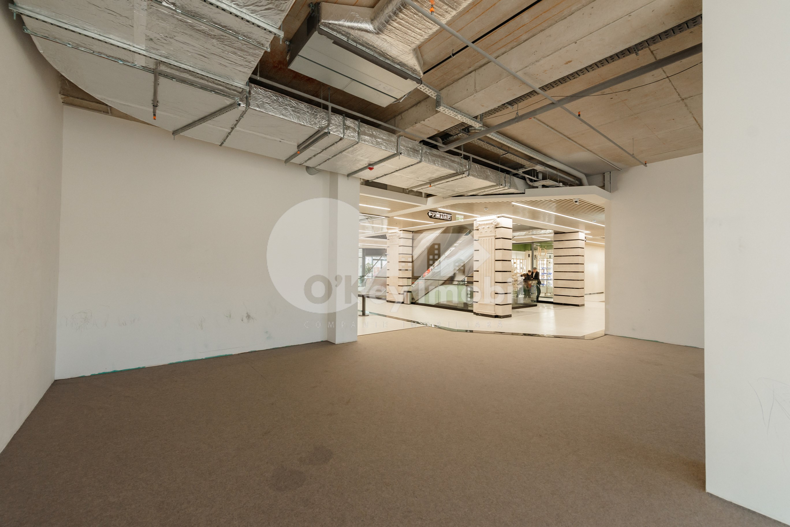 Spațiu comercial, Râșcani, GRIGORE VIERU