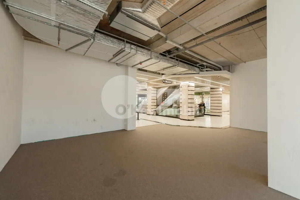 Spațiu comercial, Râșcani, GRIGORE VIERU