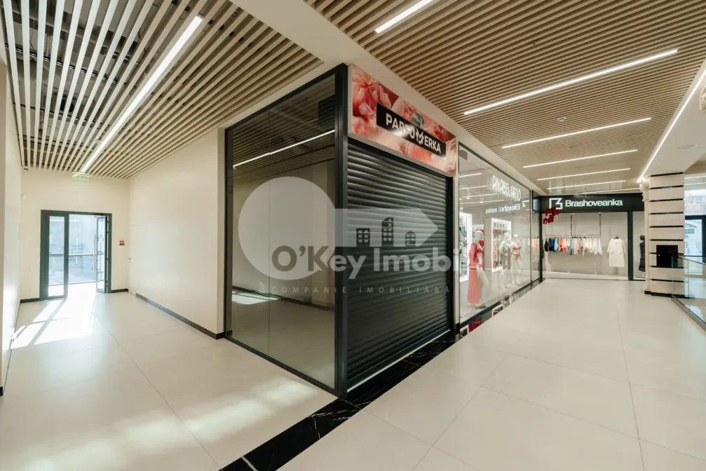 Комм. помещение, Рышкановка, ГРИГОРЕ ВИЕРУ