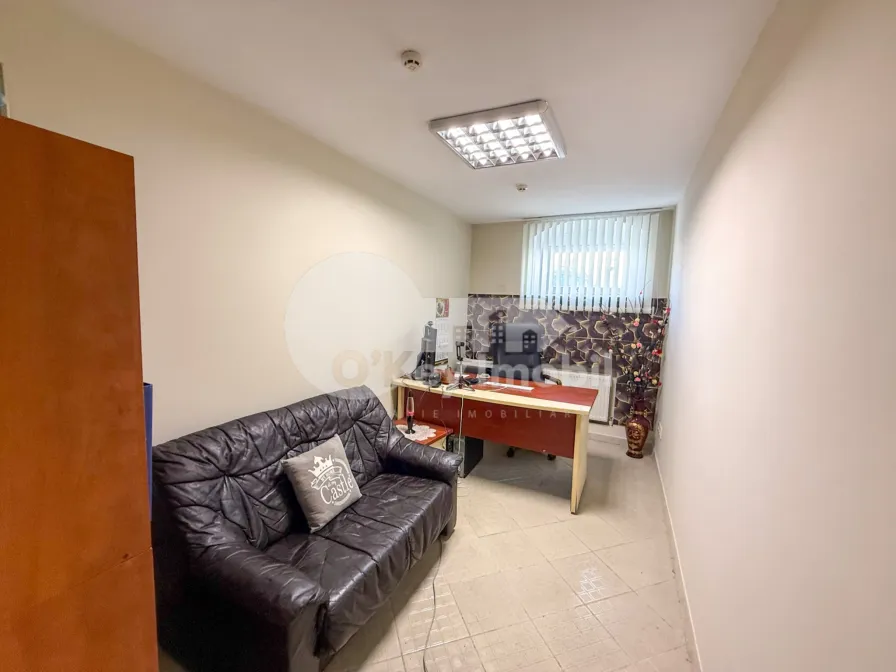 Офис, Центр, ВАСИЛЕ АЛЕКСАНДРИ