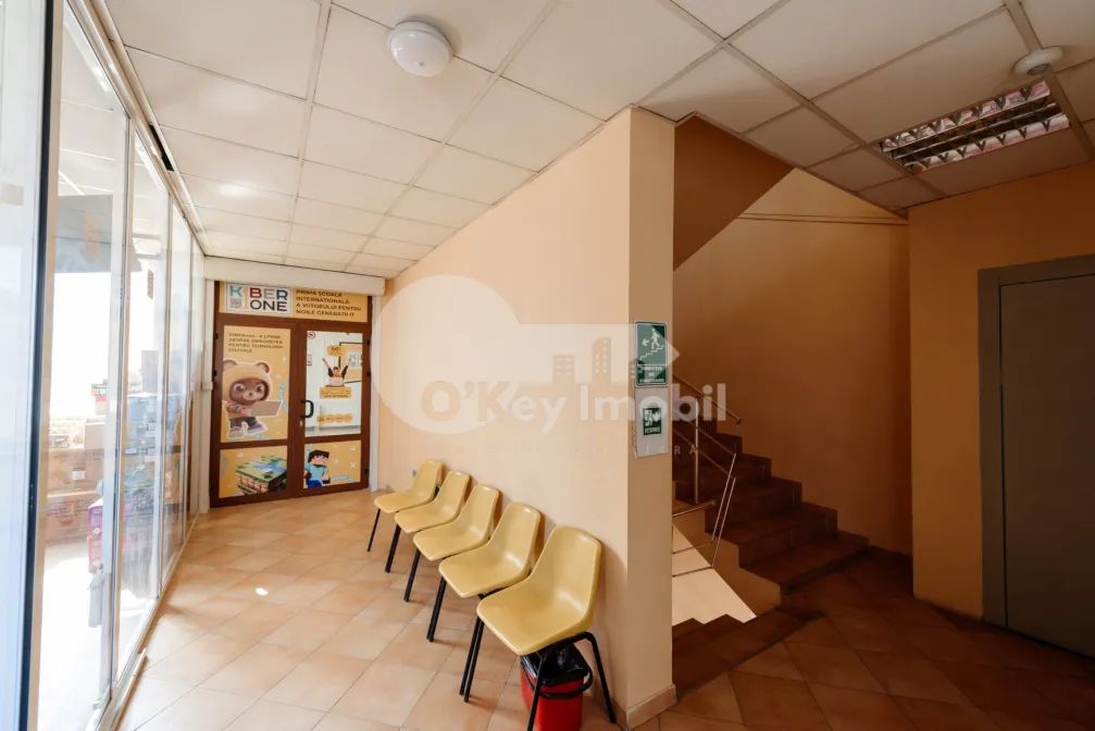 Oficiu, Botanica, DECEBAL