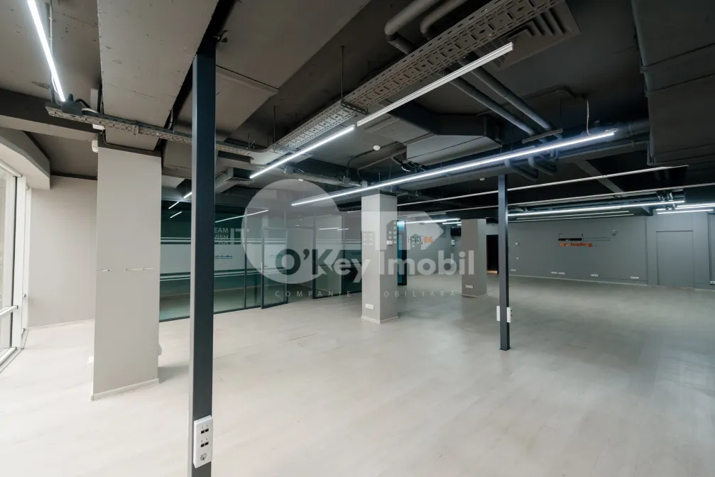 Oficiu, Centru, ALEXANDR PUȘKIN