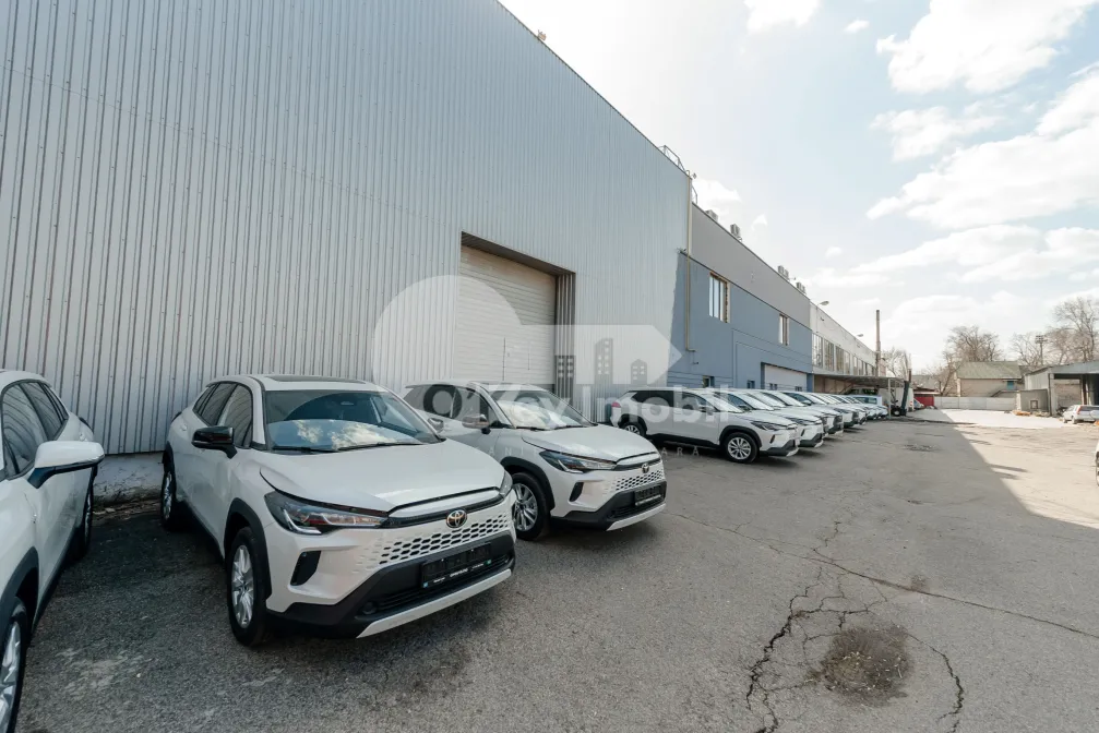 Depozit, Botanica, SALCÂMILOR