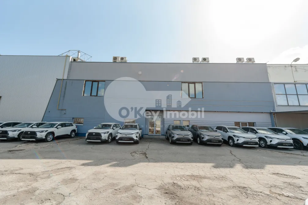 Oficiu, Botanica, SALCÂMILOR