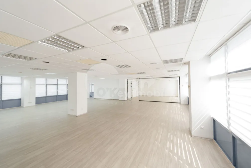 Oficiu, Centru, ȘTEFAN CEL MARE